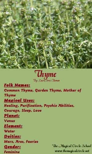 Thyme seeds magic carpet ride